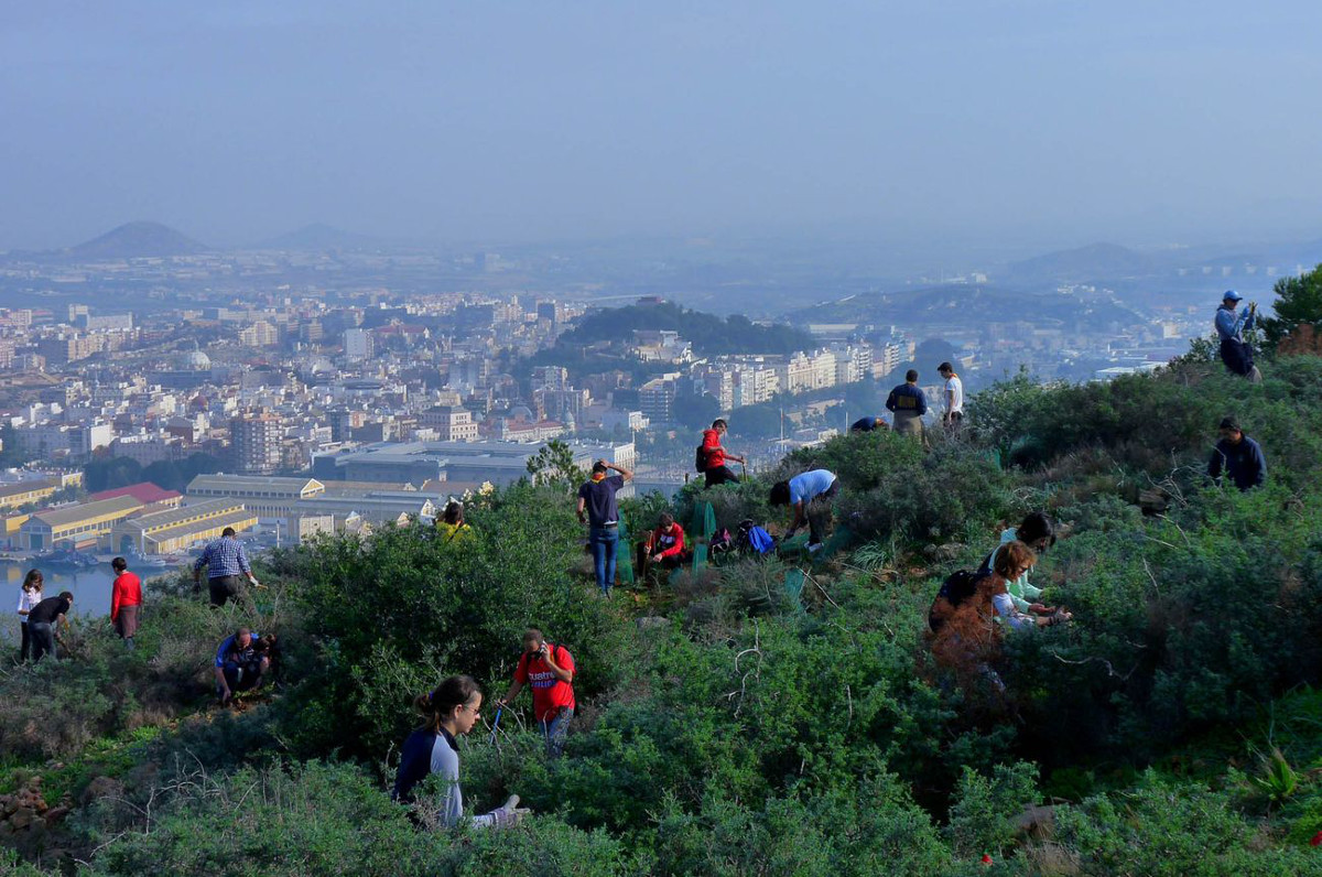 Imagen de archivo de una Jornada de reforestaci�n en Galeras 