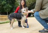 Presentaci�n Feria de Adopciones de Perros y Gatos junto al Cartagonova